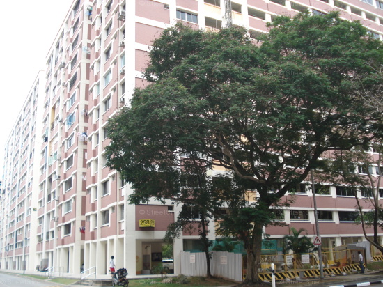 Blk 258 Kim Keat Avenue (Toa Payoh), HDB 5 Rooms #402962
